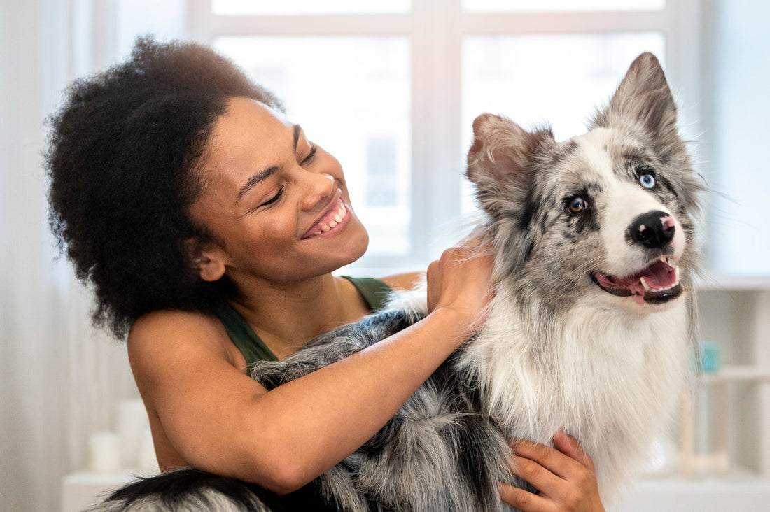 Warum Vorbeugung besser ist als Behandlung – Natürliche Gesundheitsvorsorge für deinen Hund