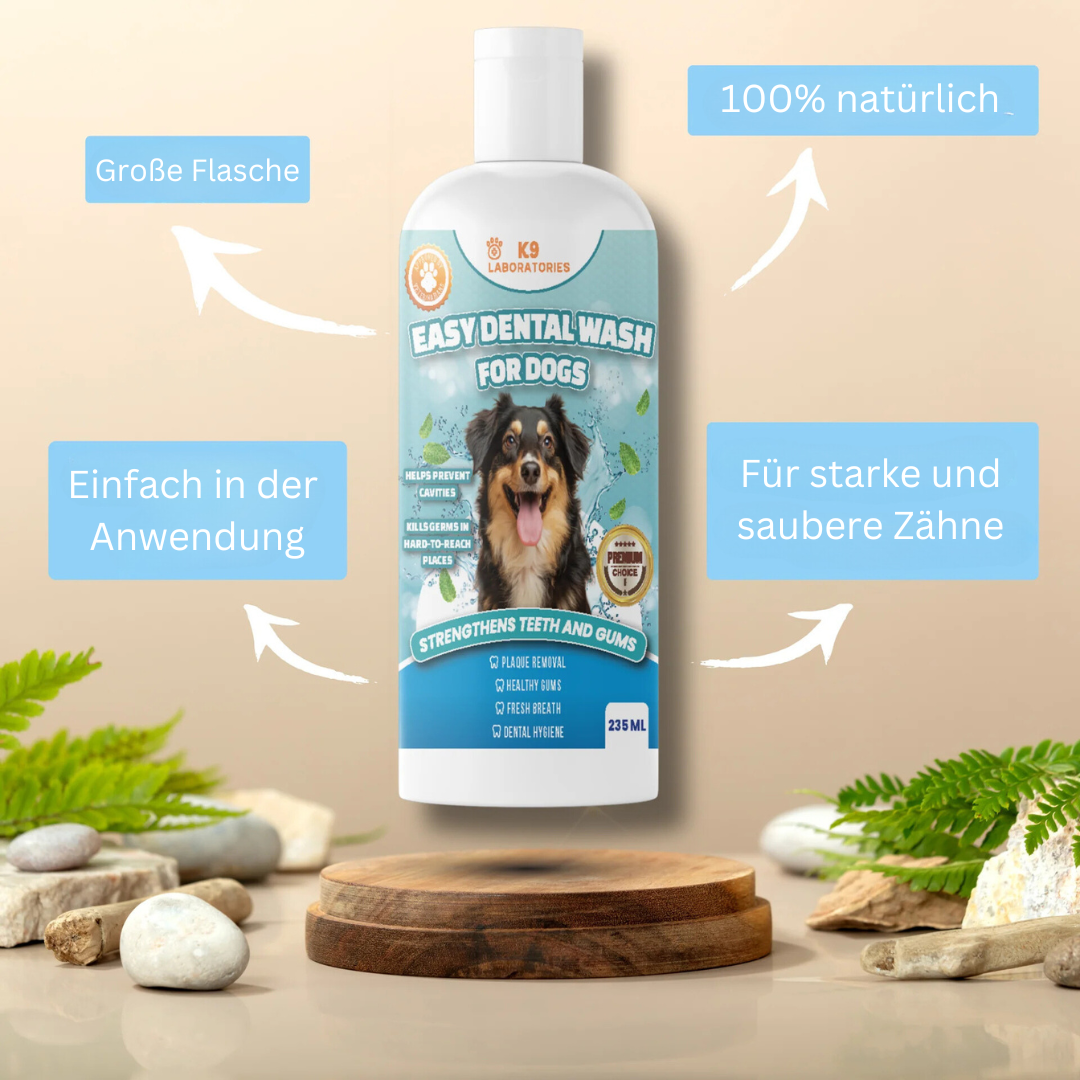 Easy Mundwasser