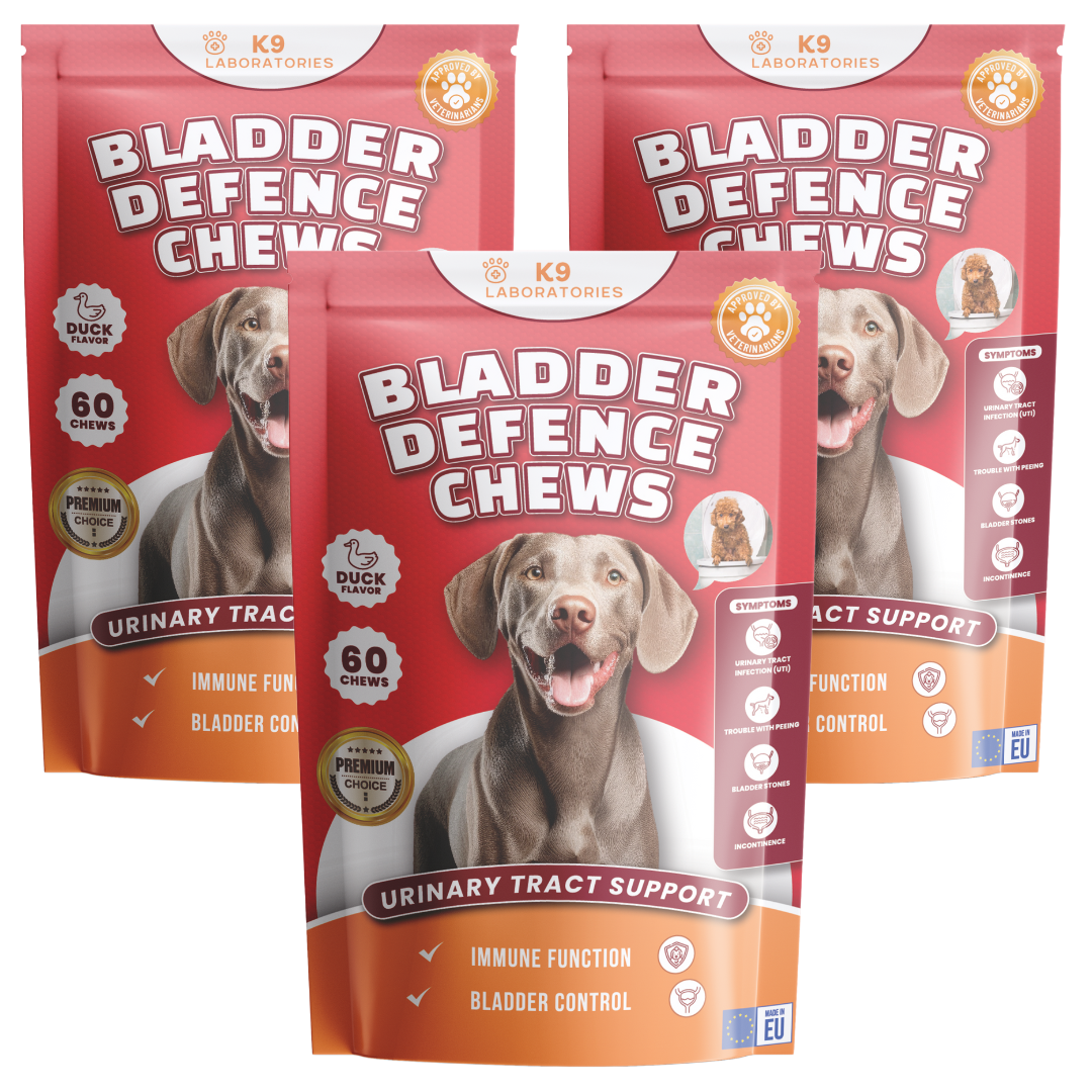 Blase & Harnwege Kausnack für Hunde
