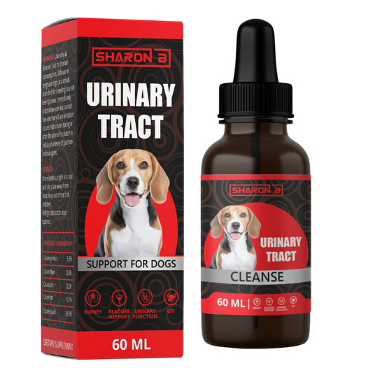 Urinary Tract