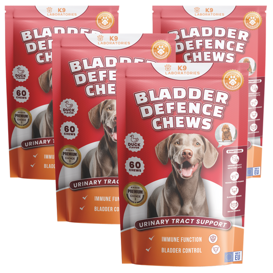 Blase und Nieren Chews 240 Stücke