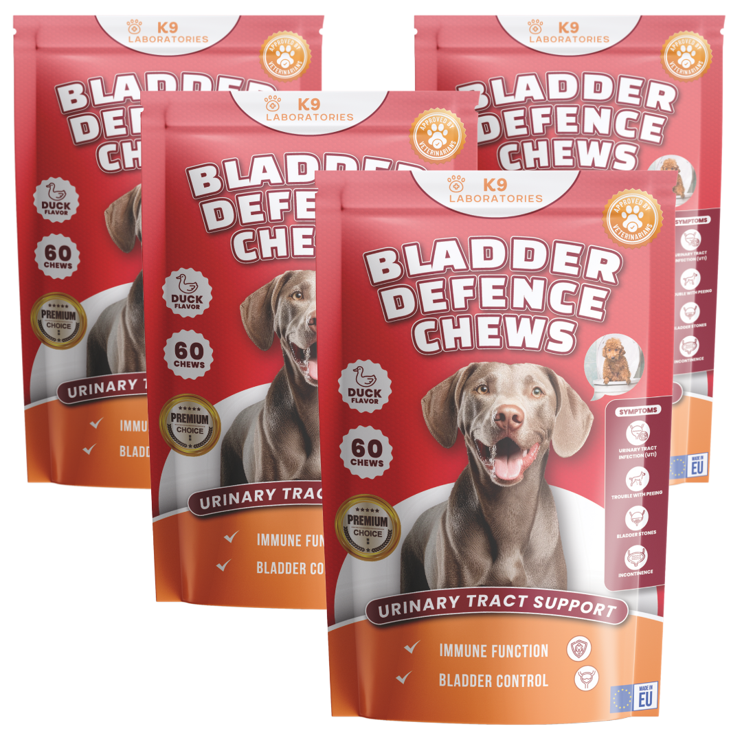 Blase & Harnwege Kausnack für Hunde