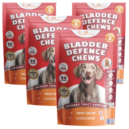 Blase & Harnwege Kausnack für Hunde