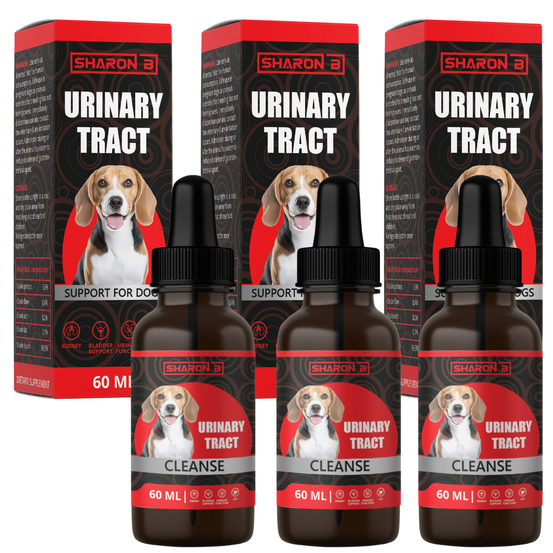 Urinary Tract