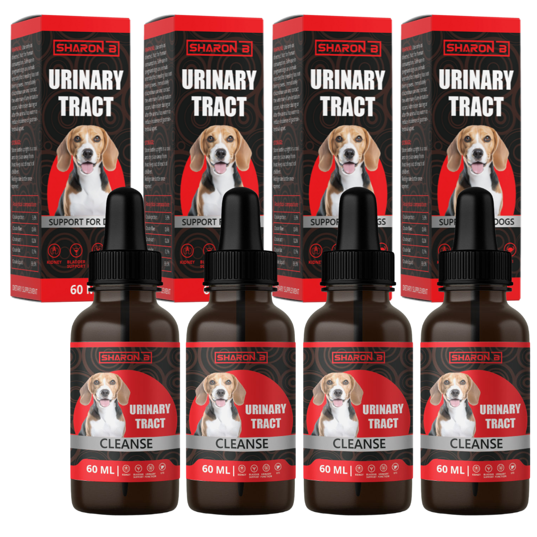 Urinary Tract