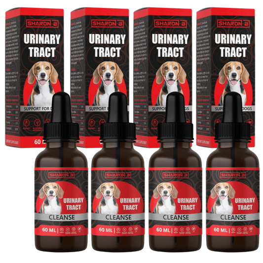 Urinary Tract 4 Pack
