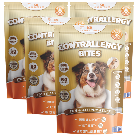 Contrallergy Bites 240 Stücke