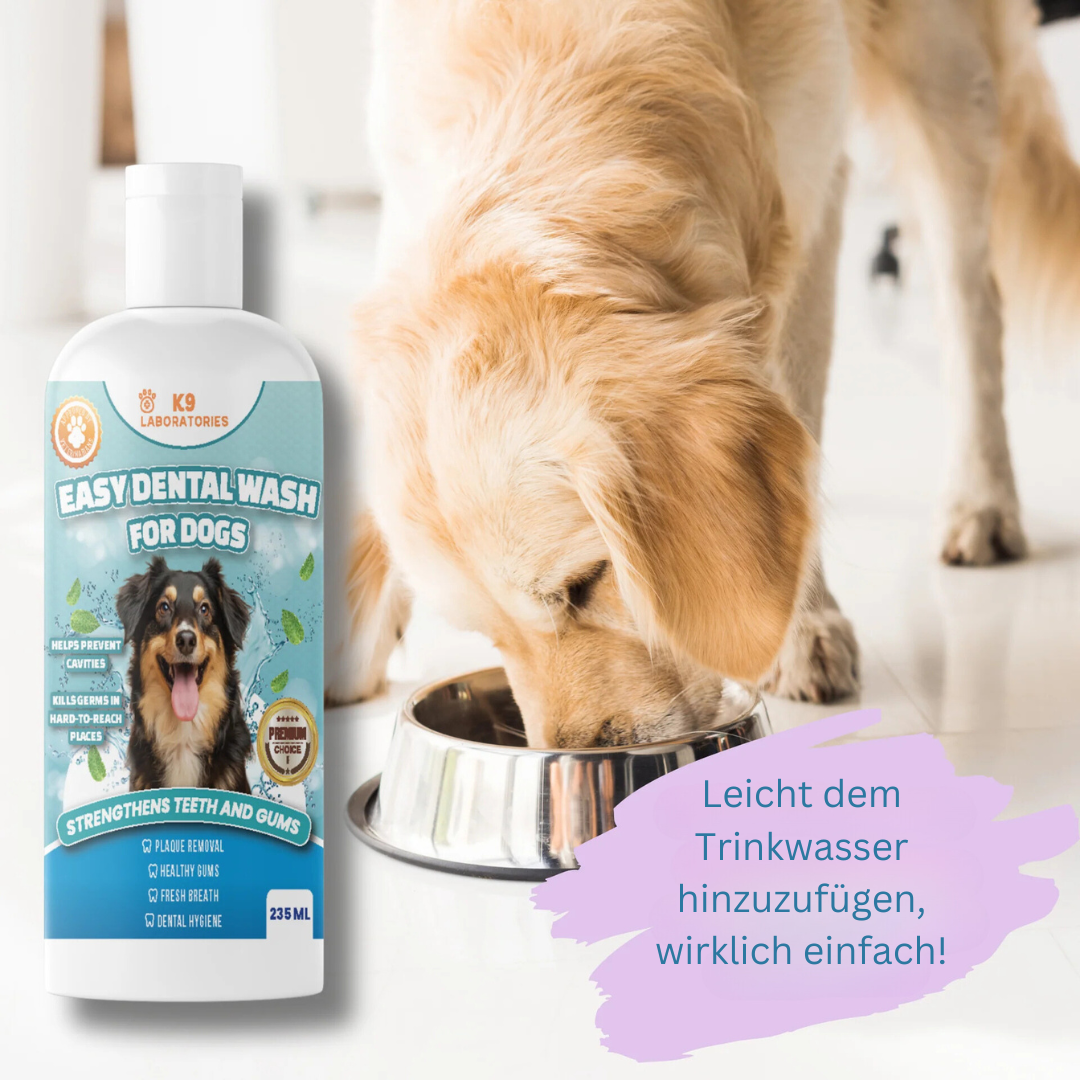 Easy Mundwasser