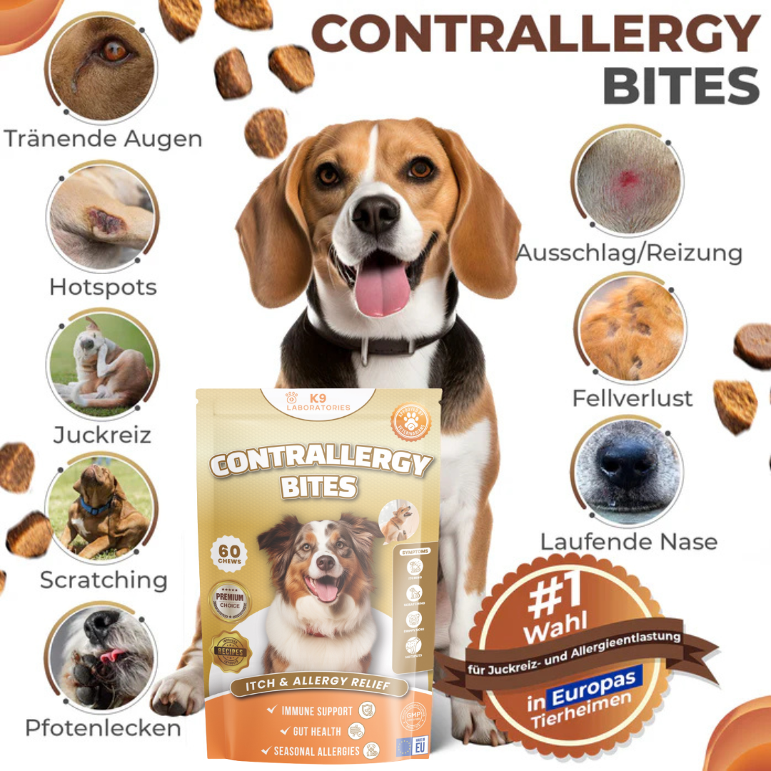 Contrallergy - Natürliches Antihistamin für deinen Hund - Beruhigt Haut & Immunsystem