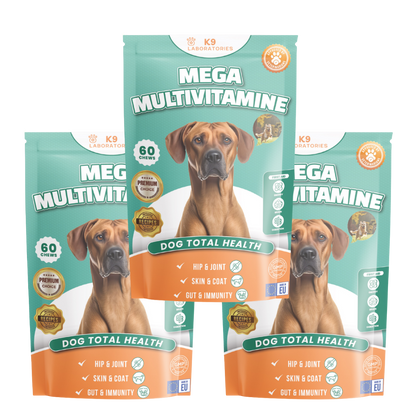 Vitalität & Multivitamine Kausnack für Hunde