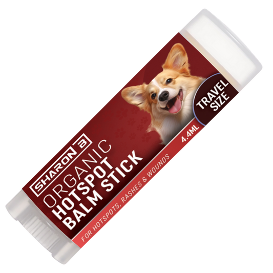 Hotspot travel Stick