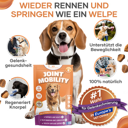 Gelenke & Beweglichkeit Kausnack