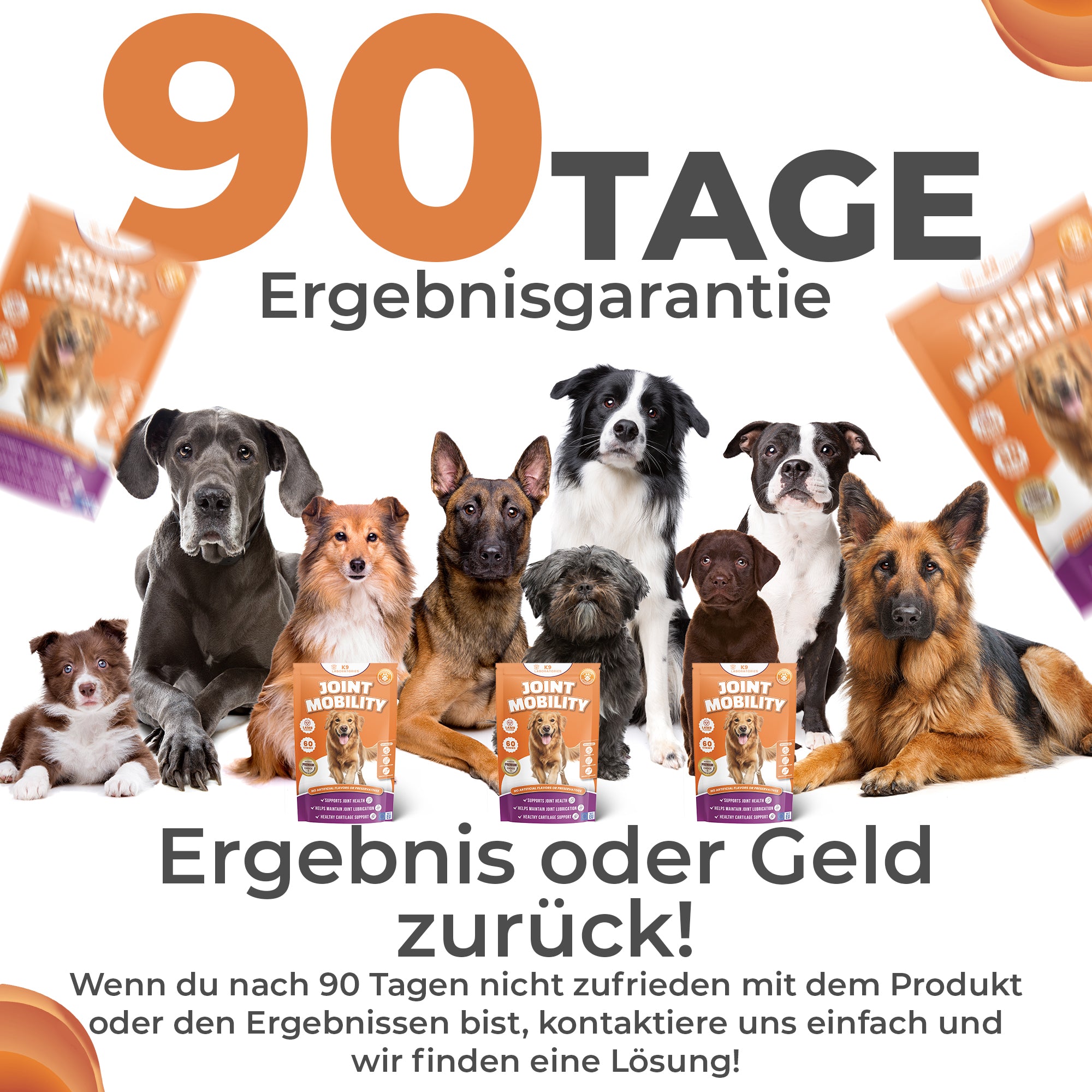 Joint Mobility Kausnack - Unterstützt Gelenke & Knochen - Lassen Sie Ihren Hund wieder springen & toben