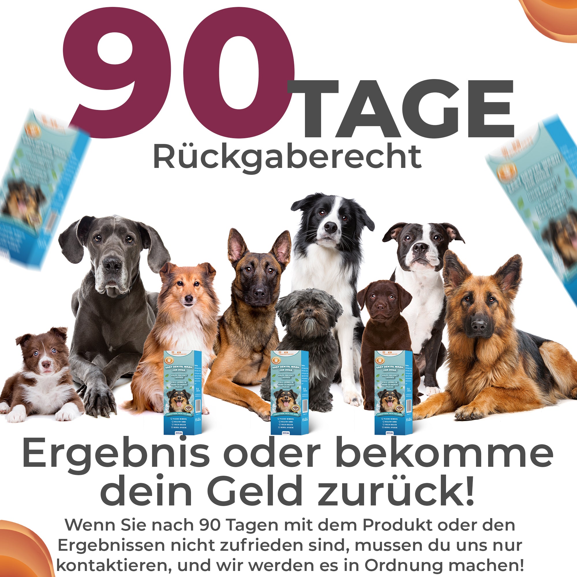 Easy Mundwasser - Tägliche Zahnpflege leicht gemacht - Für saubere Zähne & frischen Atem - Einfach ins Trinkwasser – große Wirkung