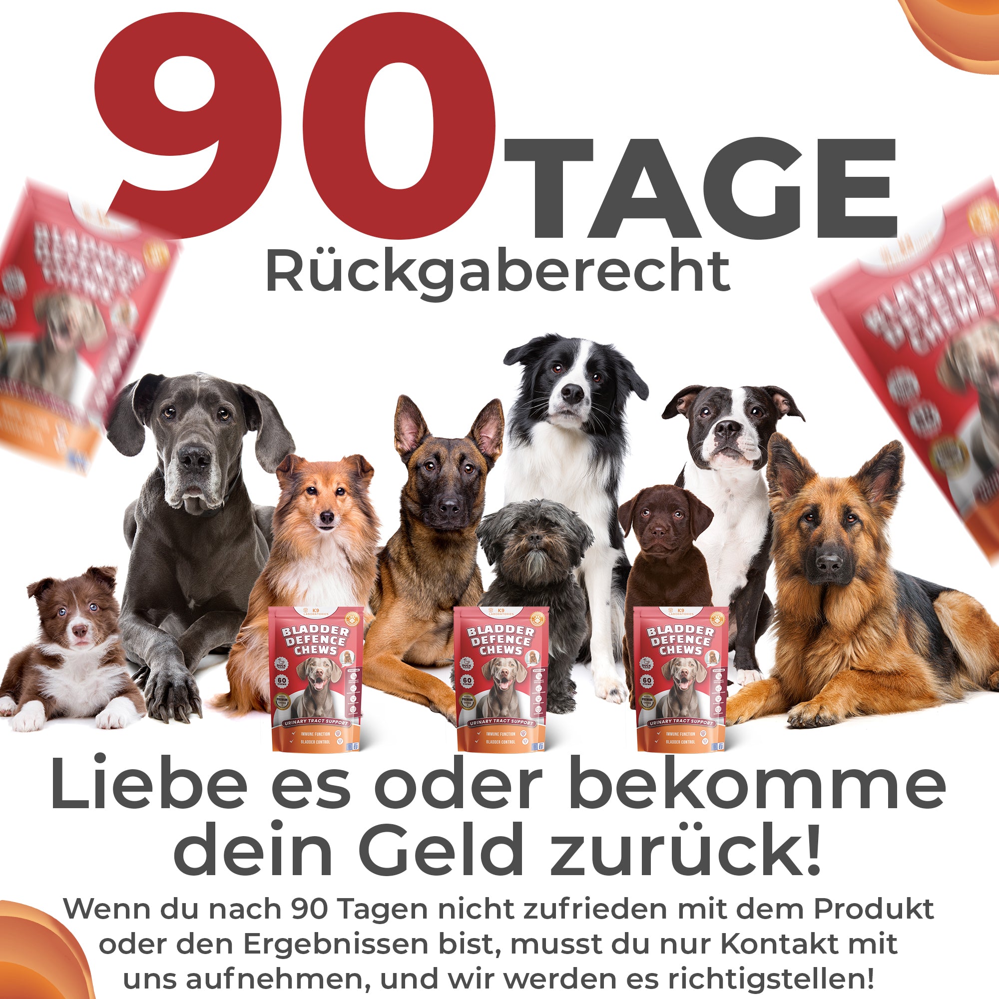 Blase & Harnwege Kausnack für Hunde