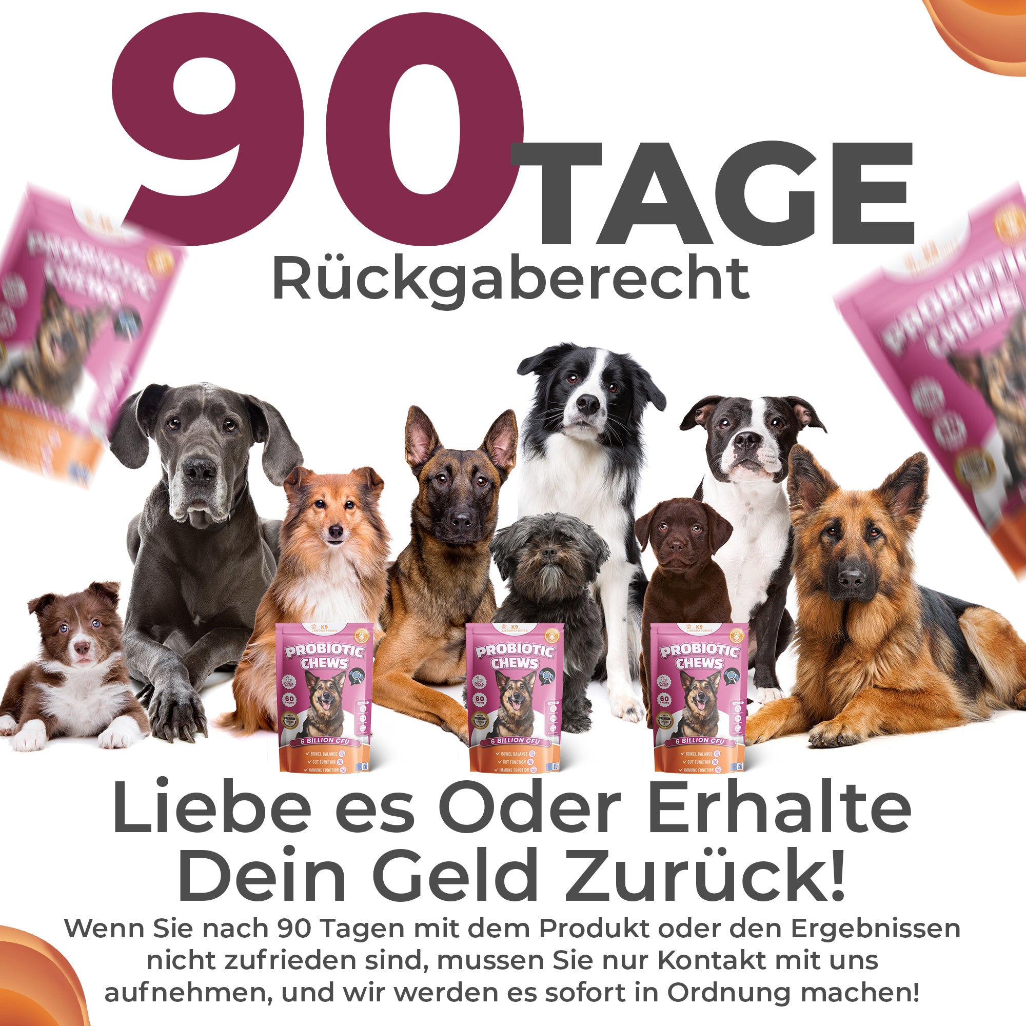 Probiotic Kausnack - Darmflora natürlich im Gleichgewicht - Tägliche Probiotika – ganz ohne Drama
