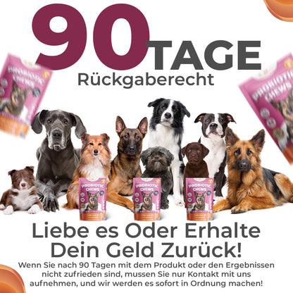 Verdauung & Darmflora Kausnack