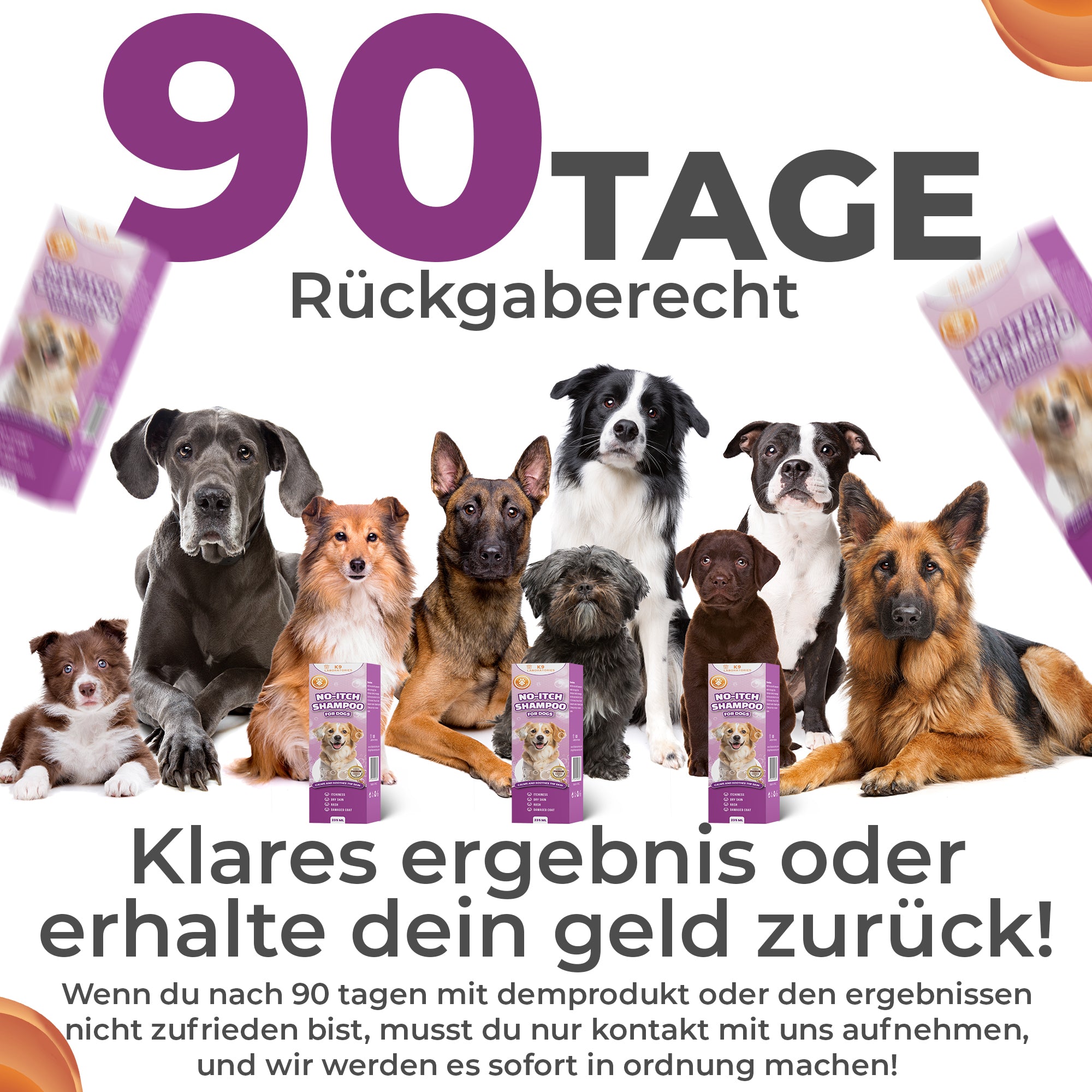 Anti Juckreiz Shampoo - gegen Kratzen & Lecken - Für sensible & allergische Hundehaut - Beruhigt sofort