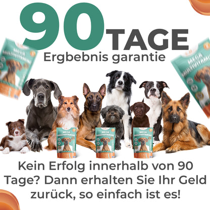 Vitalität & Multivitamine Kausnack für Hunde