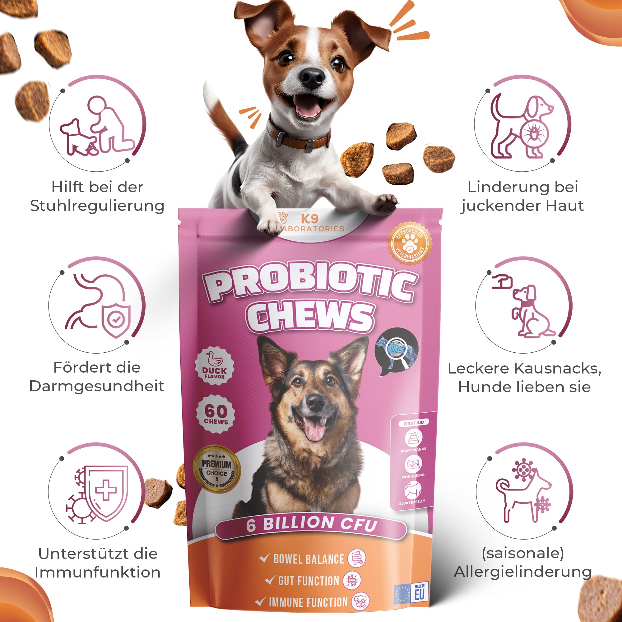 Probiotic Kausnack - Darmflora natürlich im Gleichgewicht - Tägliche Probiotika – ganz ohne Drama