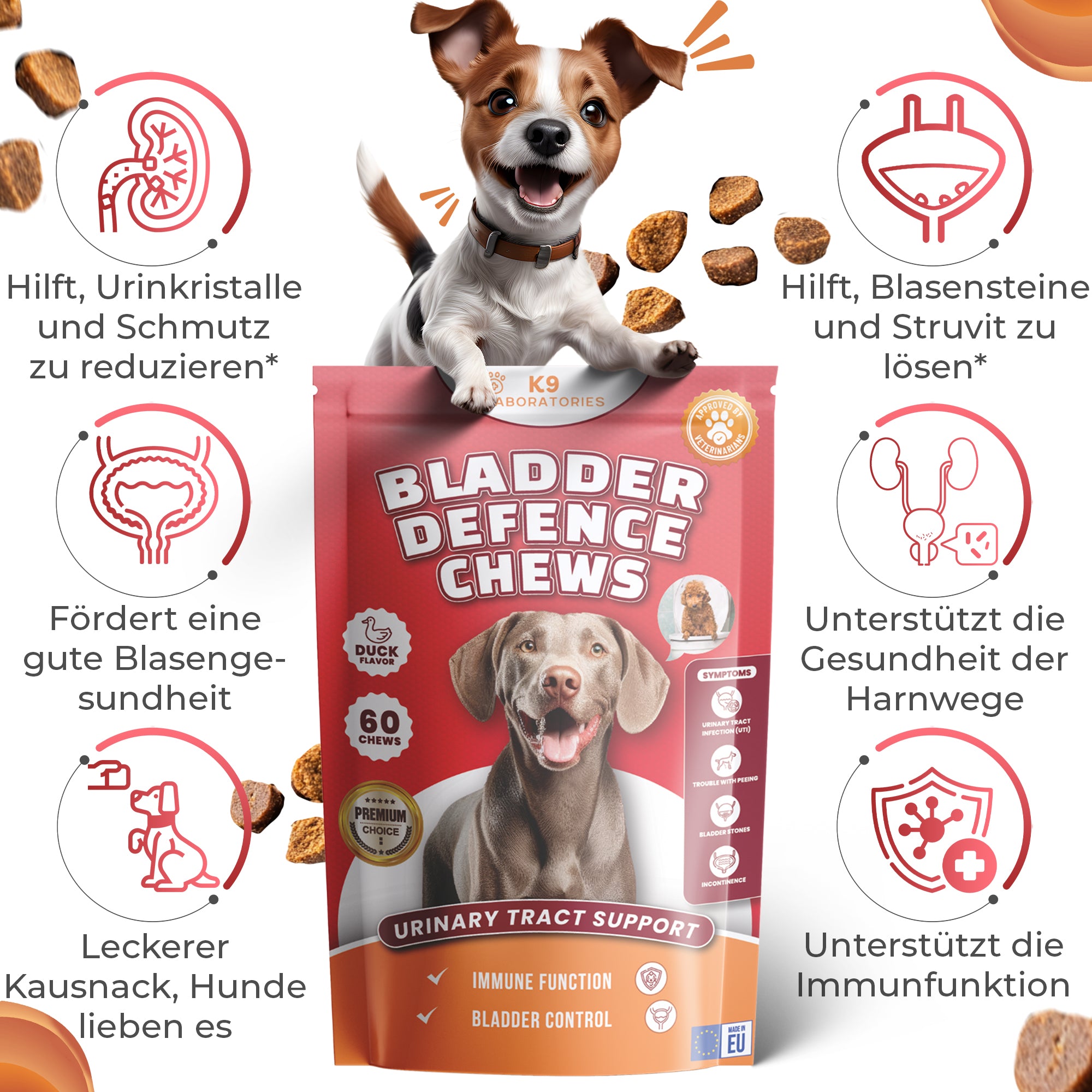Blase & Harnwege Kausnack für Hunde