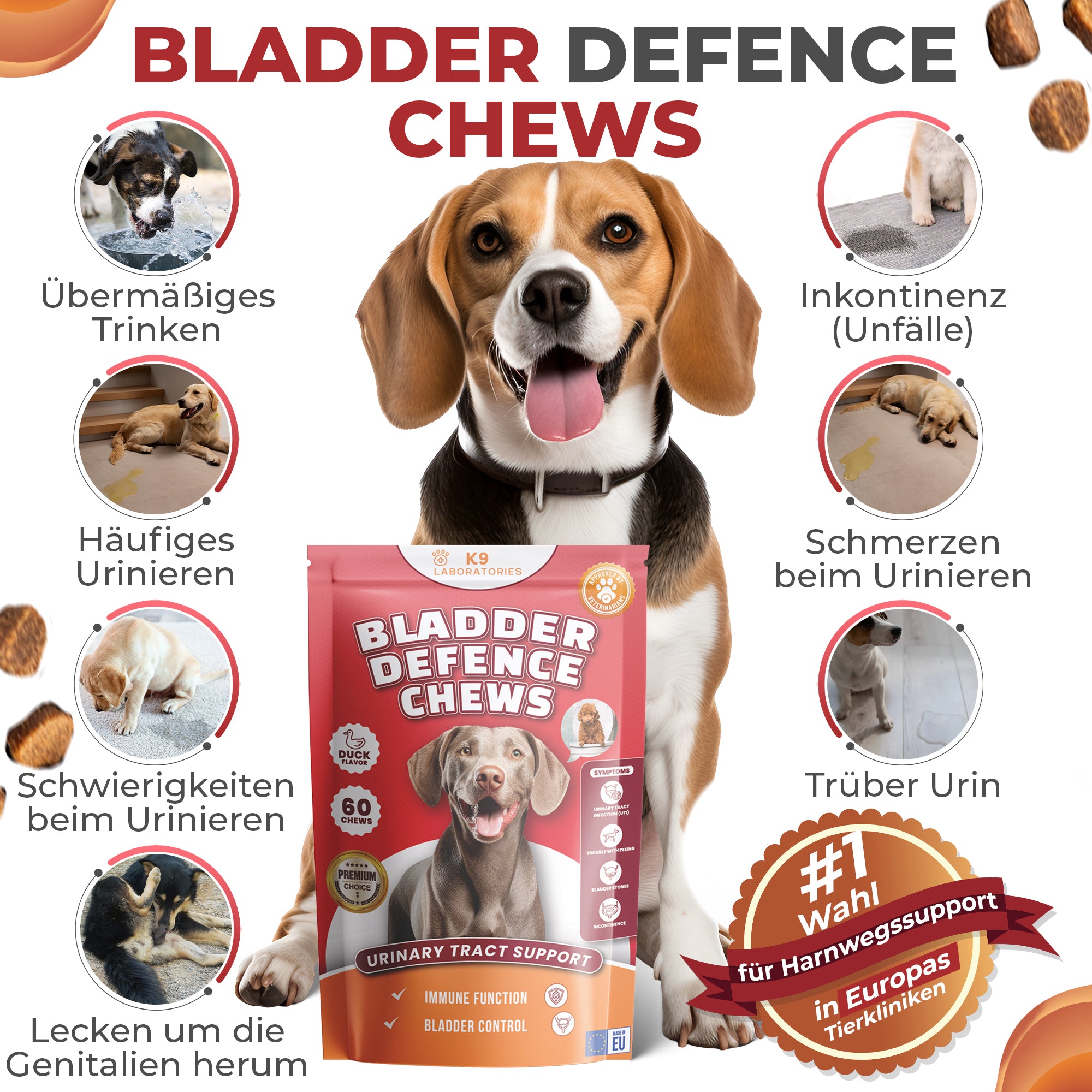 Blase & Harnwege Kausnack für Hunde