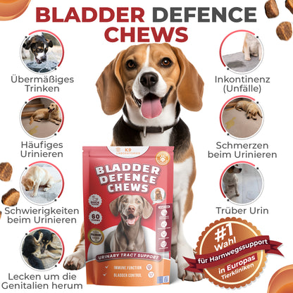 Blase & Harnwege Kausnack für Hunde