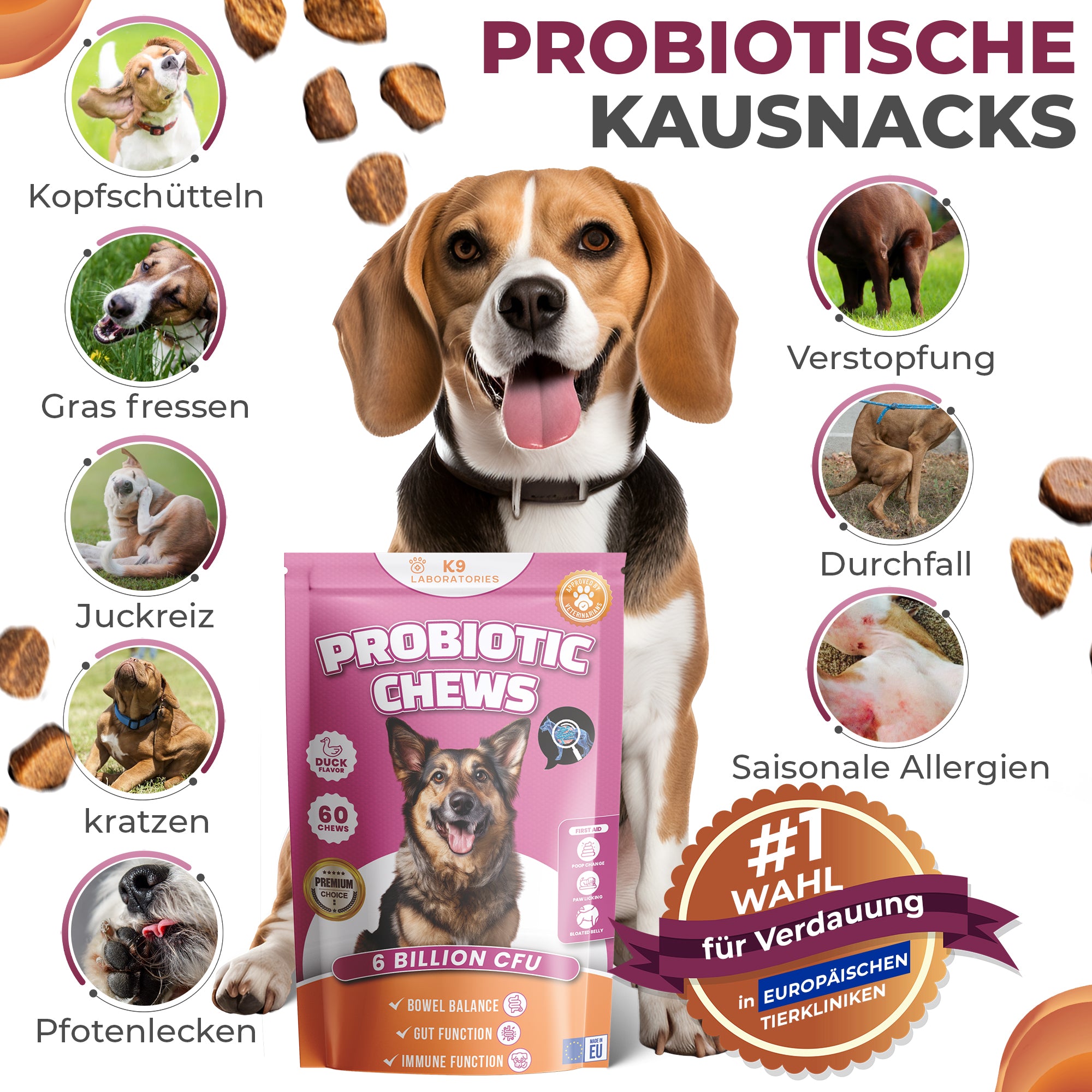 Verdauung & Darmflora Kausnack