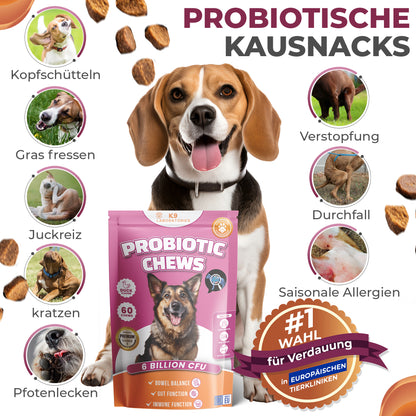 Verdauung & Darmflora Kausnack