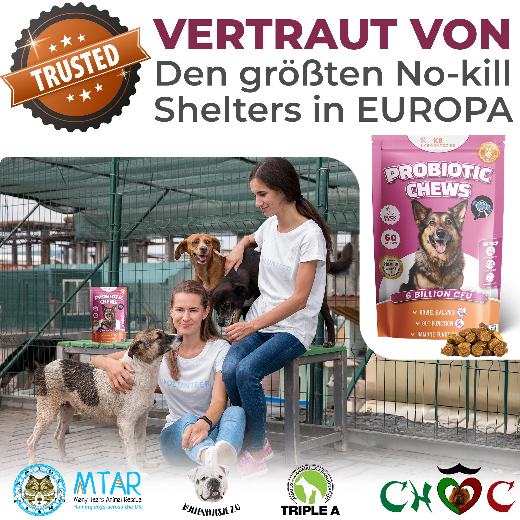 Verdauung & Darmflora Kausnack