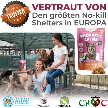 Verdauung & Darmflora Kausnack