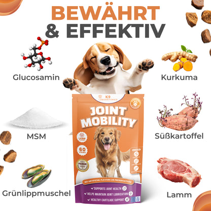 Gelenke & Beweglichkeit Kausnack
