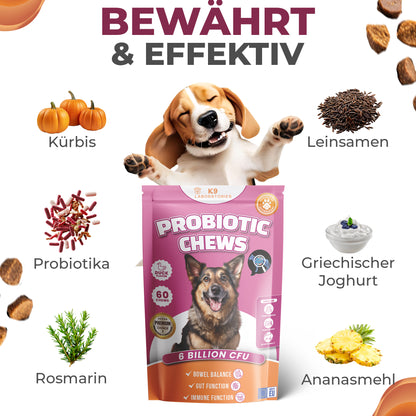 Verdauung & Darmflora Kausnack