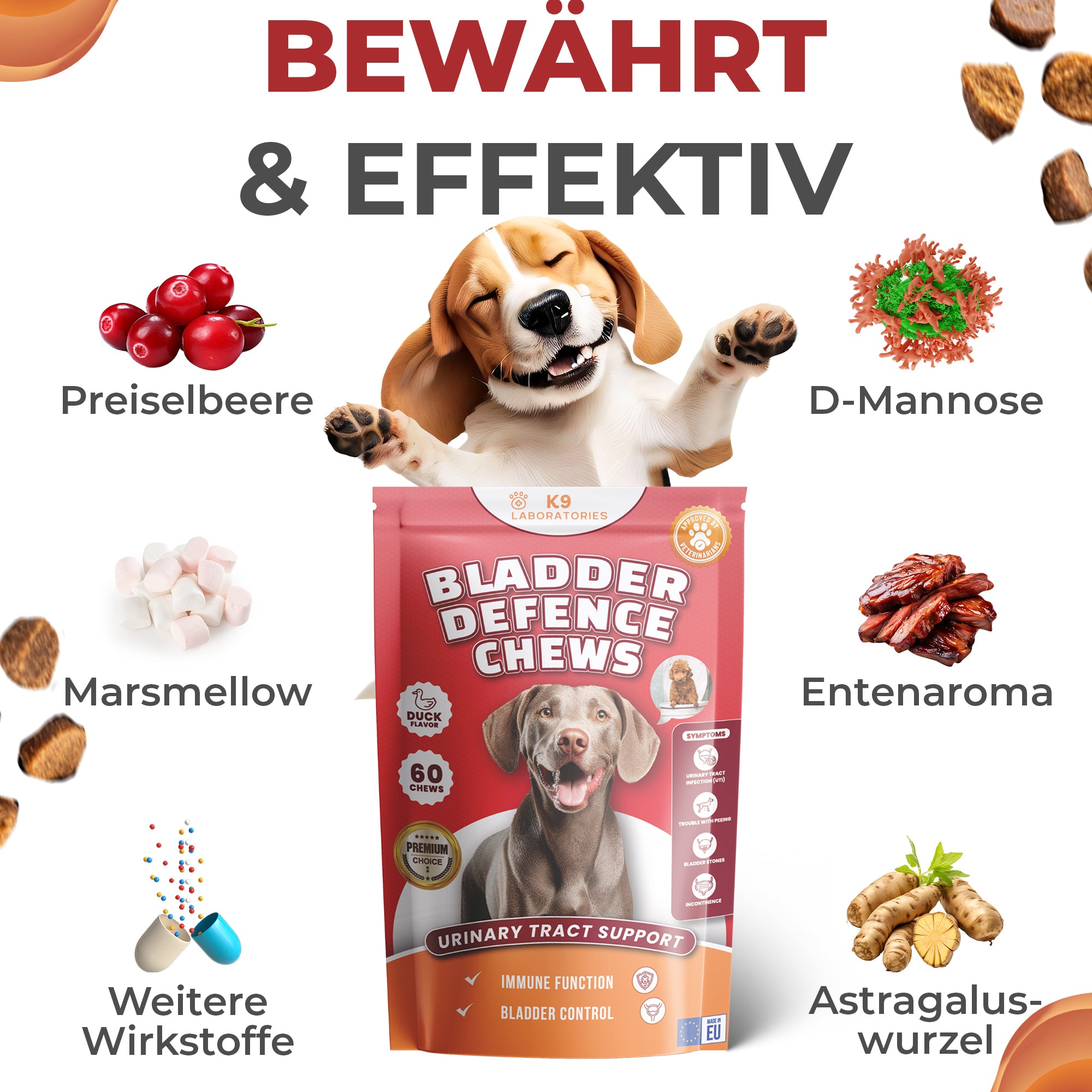 Blase & Harnwege Kausnack für Hunde