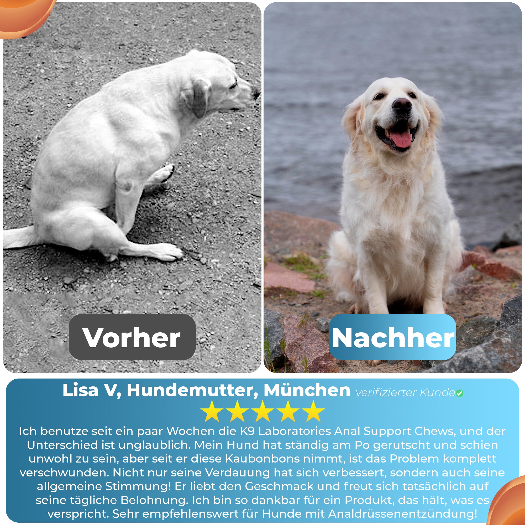 Anal Support Kausnack - Befreien Sie Ihren Hund von ständigem Po-Jucken und schlittenfahren