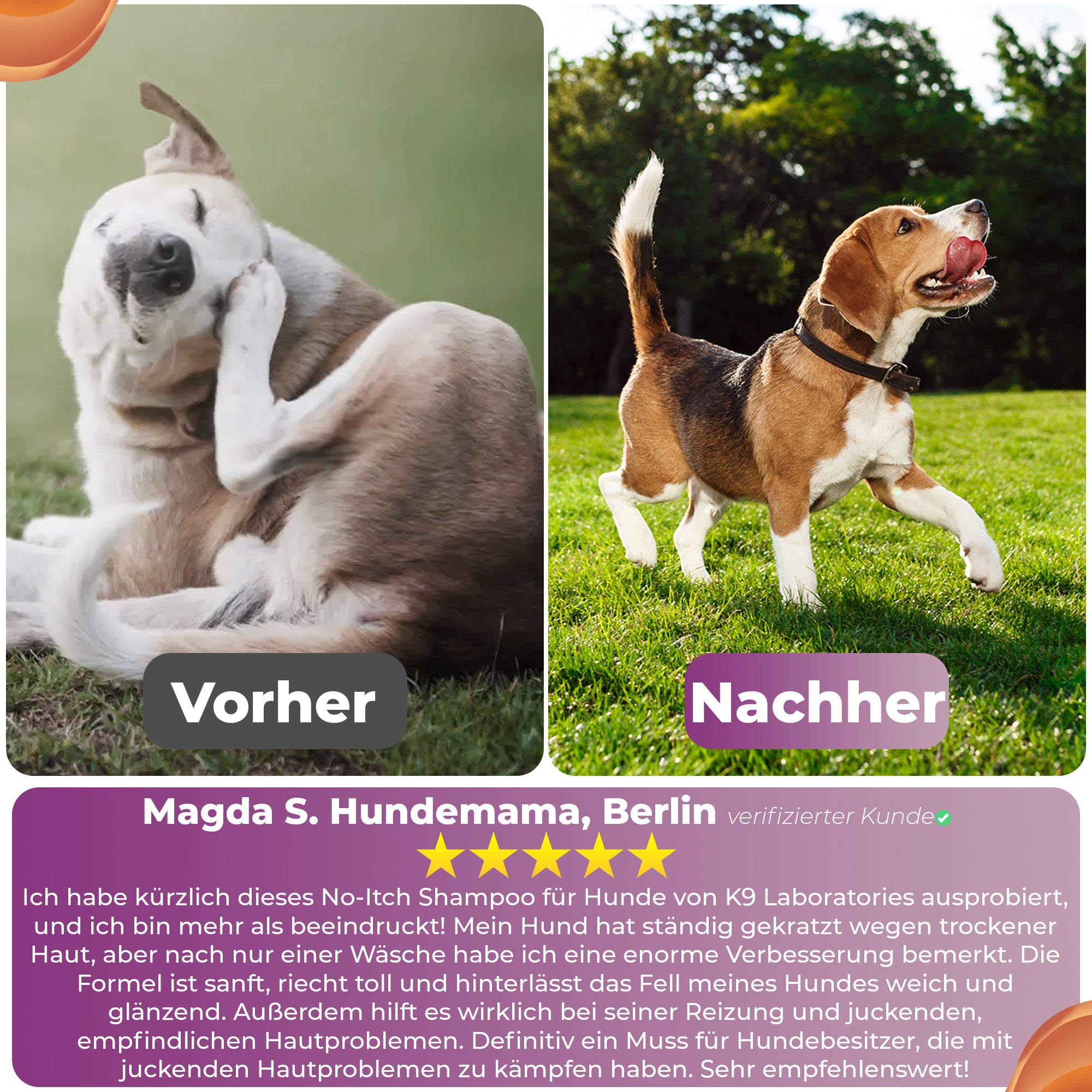 Anti Juckreiz Shampoo - gegen Kratzen & Lecken - Für sensible & allergische Hundehaut - Beruhigt sofort