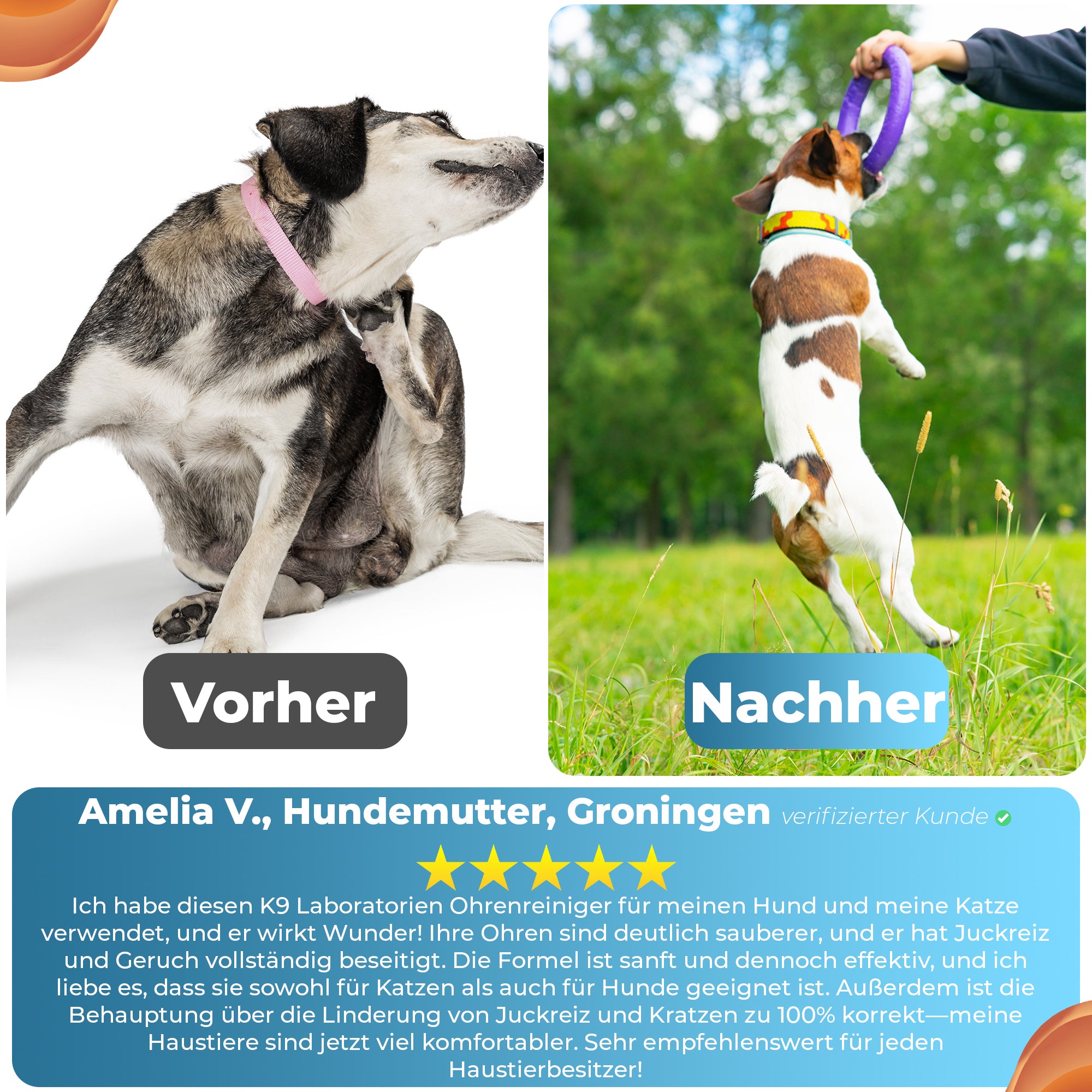 Ohrreiniger für Hunde - Ohrpflege ohne Stress – gegen Schmutz, Geruch & Entzündungen - ganz natürlich -