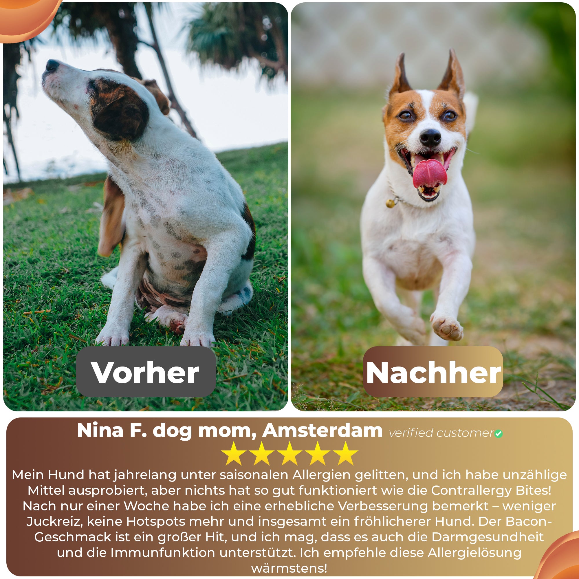Contrallergy - Natürliches Antihistamin für deinen Hund - Beruhigt Haut & Immunsystem