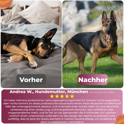 Verdauung & Darmflora Kausnack