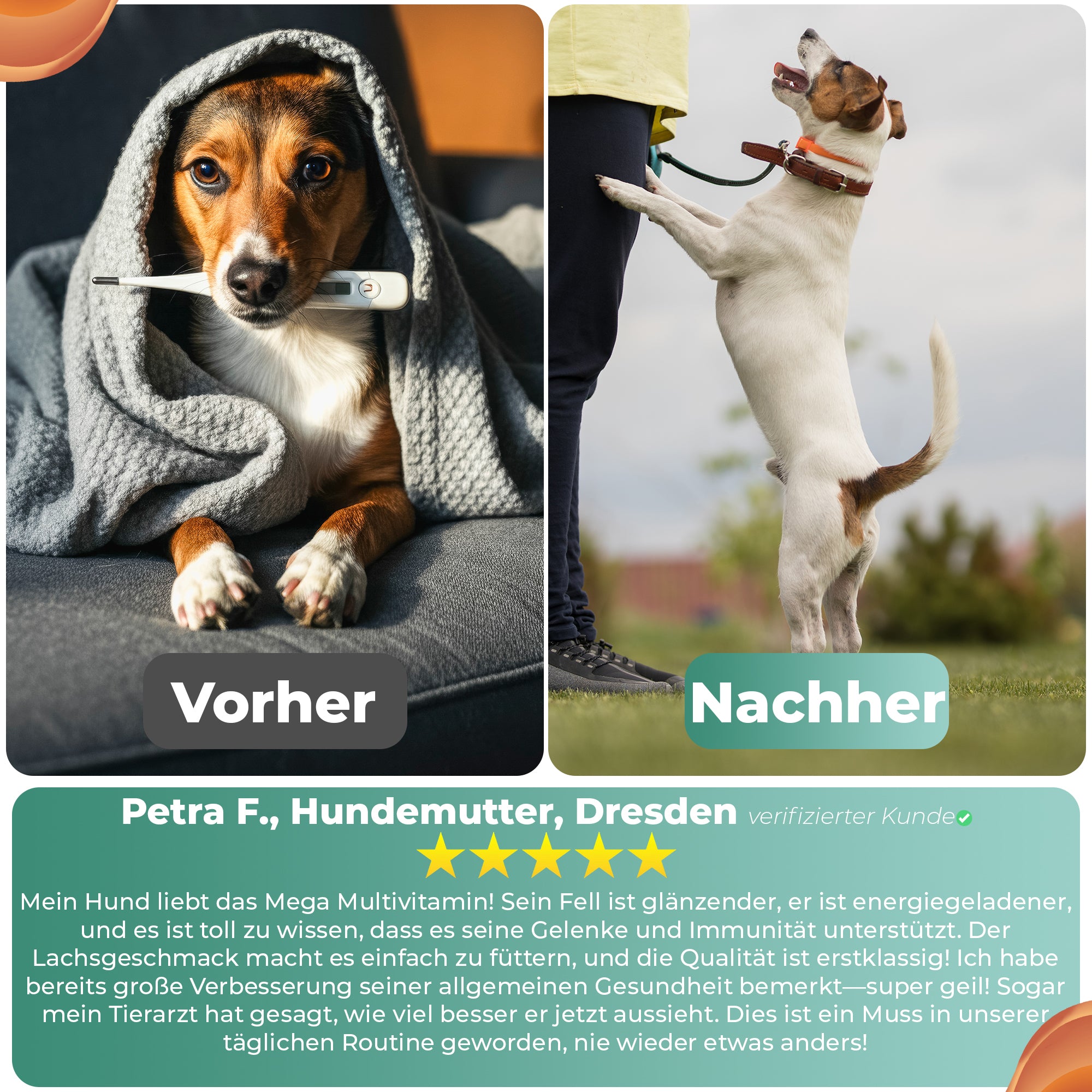 Vitalität & Multivitamine Kausnack für Hunde
