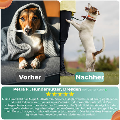 Vitalität & Multivitamine Kausnack für Hunde