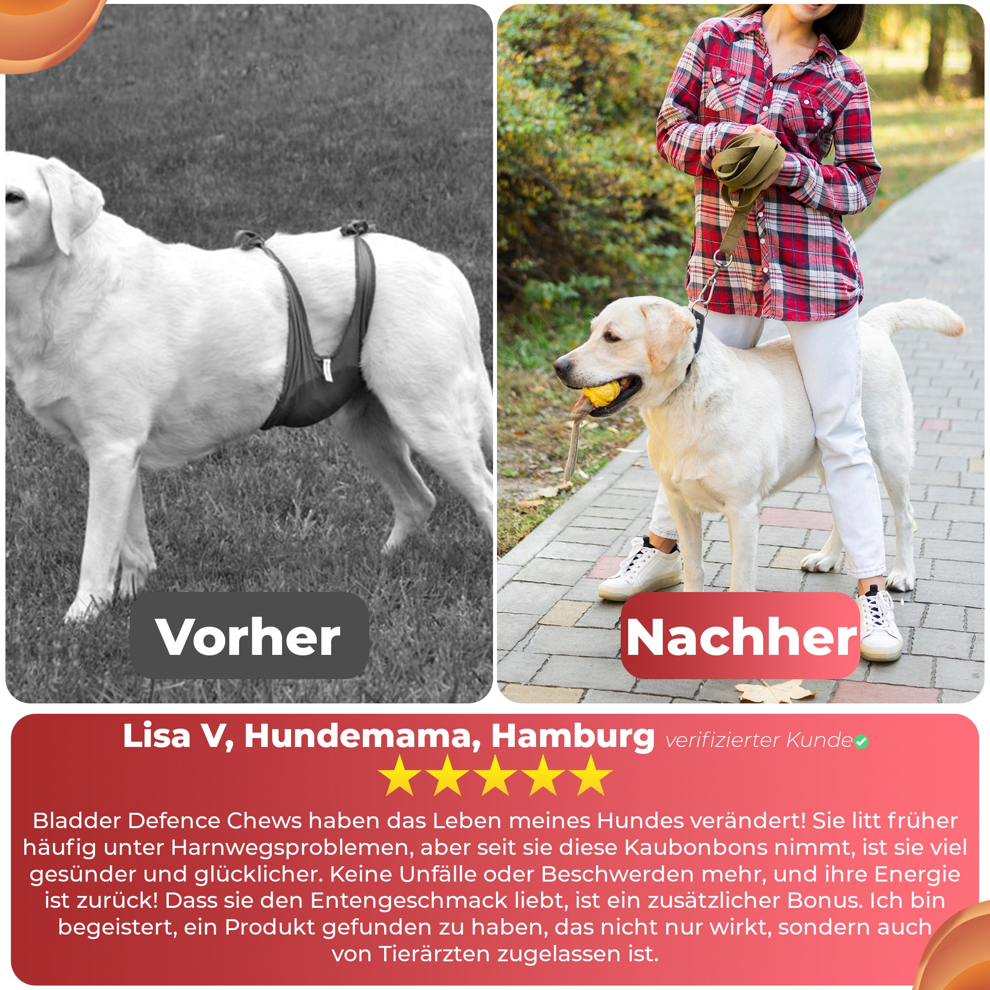Blase & Harnwege Kausnack für Hunde