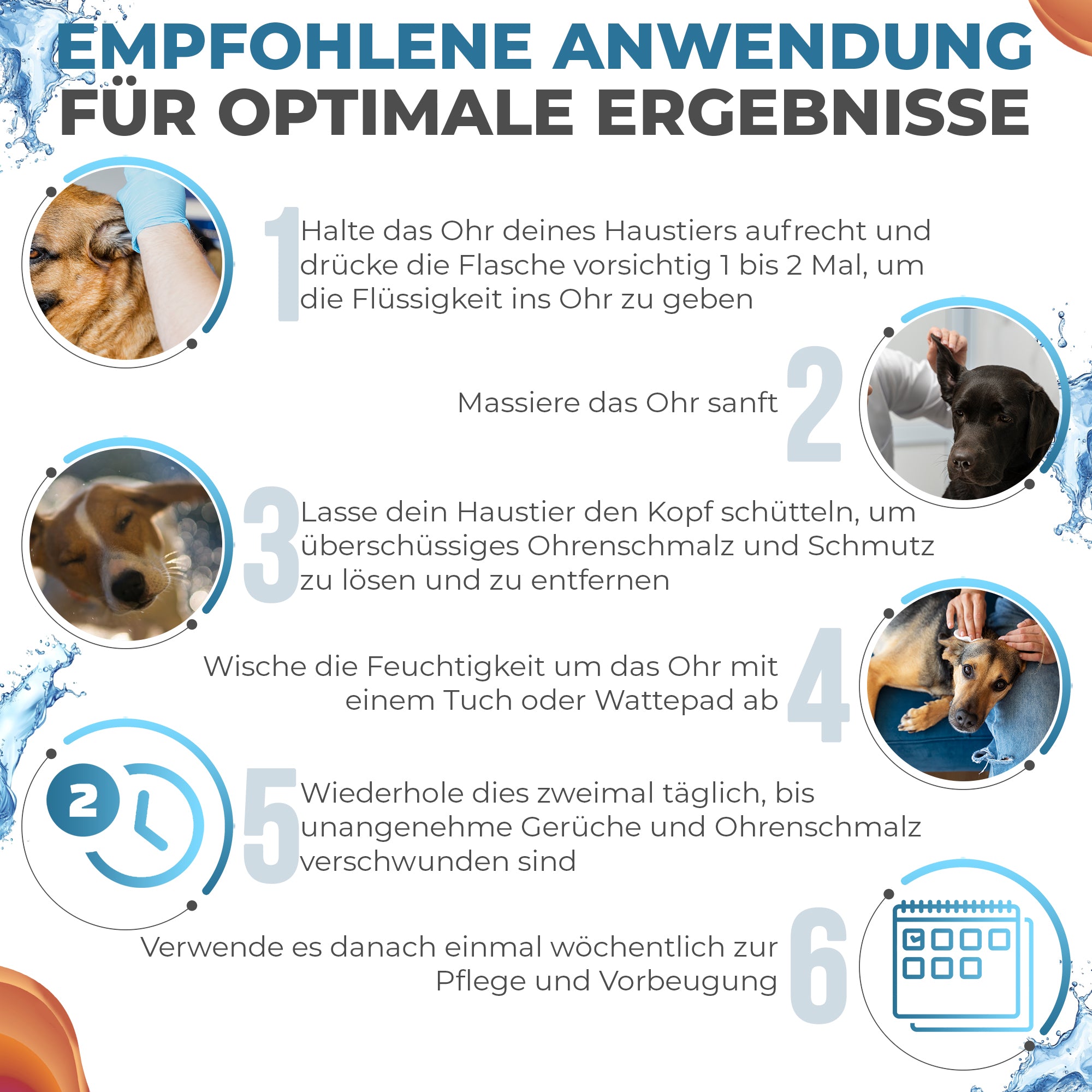 Ohrreiniger für Hunde - Ohrpflege ohne Stress – gegen Schmutz, Geruch & Entzündungen - ganz natürlich -