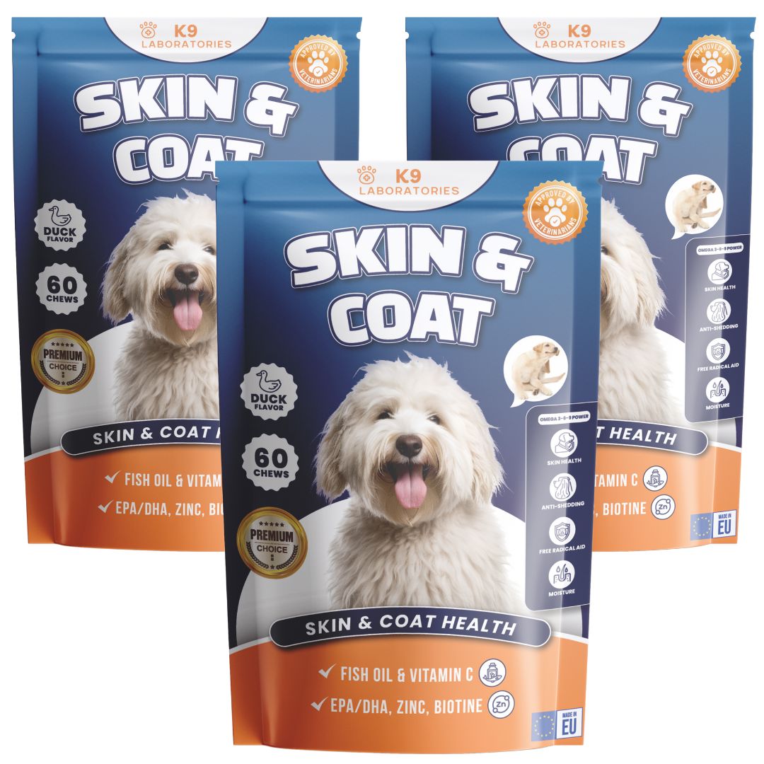 Skin & Coat Chewy